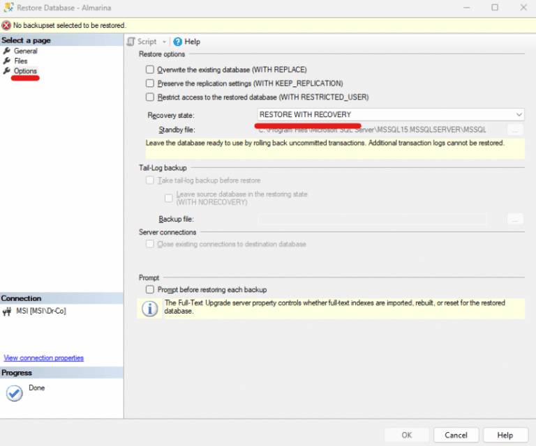 Database stuck in RESTORING state - SqlBak Blog