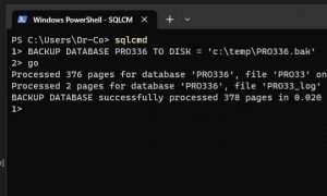 Windows PowerShell window showing the command line interface with active command input