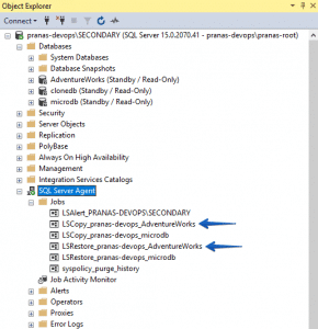 SQL Server Agent Jobs on Secondary Server